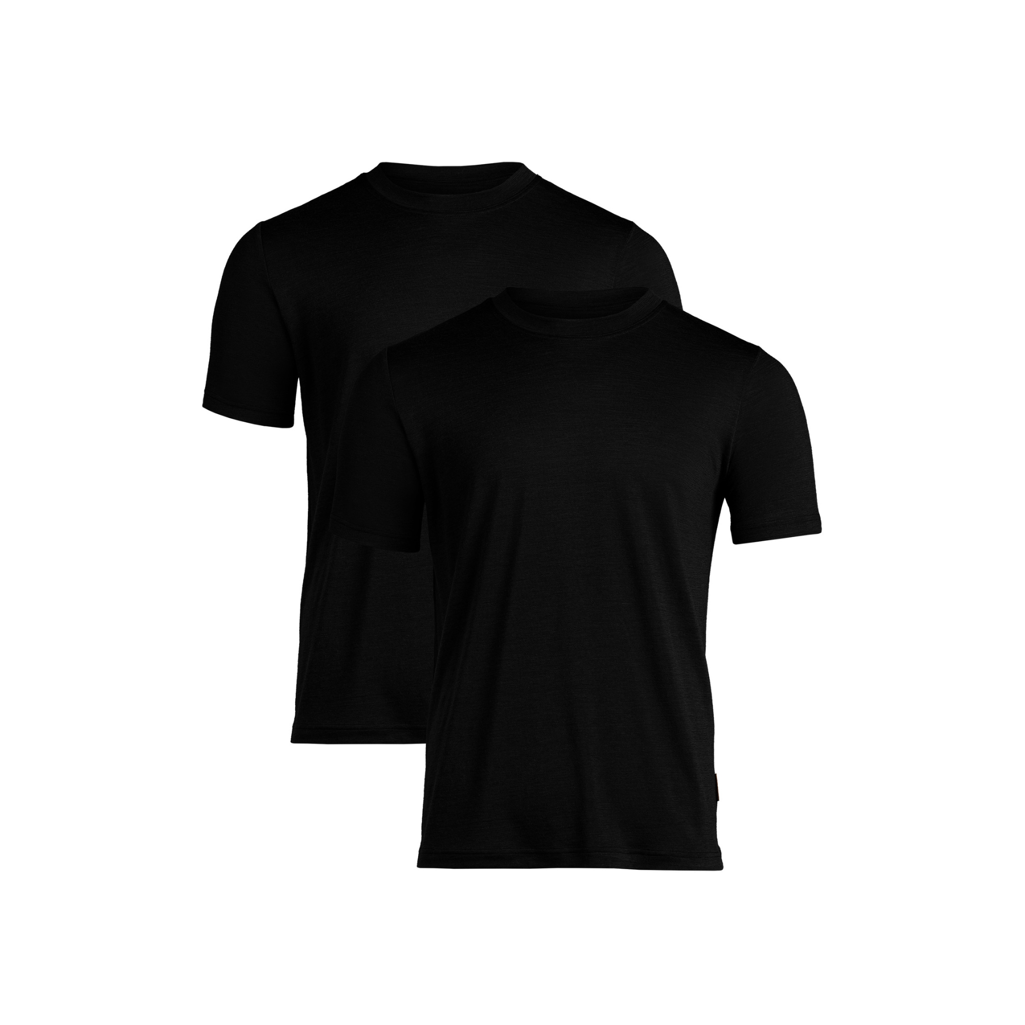 Regular Fit Merino T-Shirt for Men 2-Pack