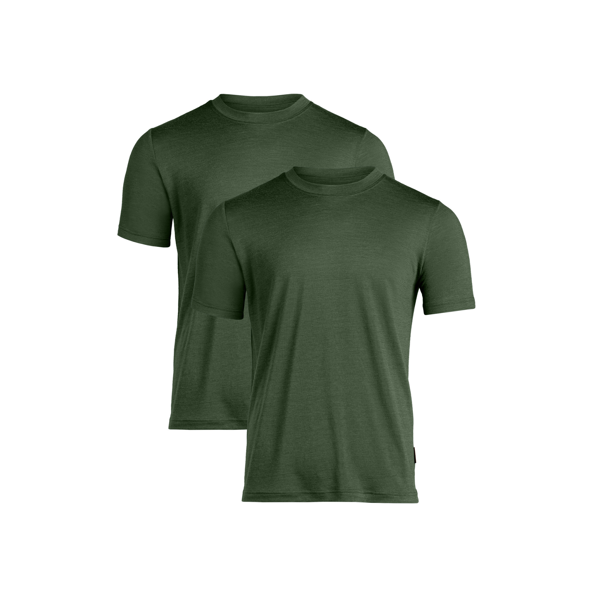 Regular Fit Merino T-Shirt for Men 2-Pack