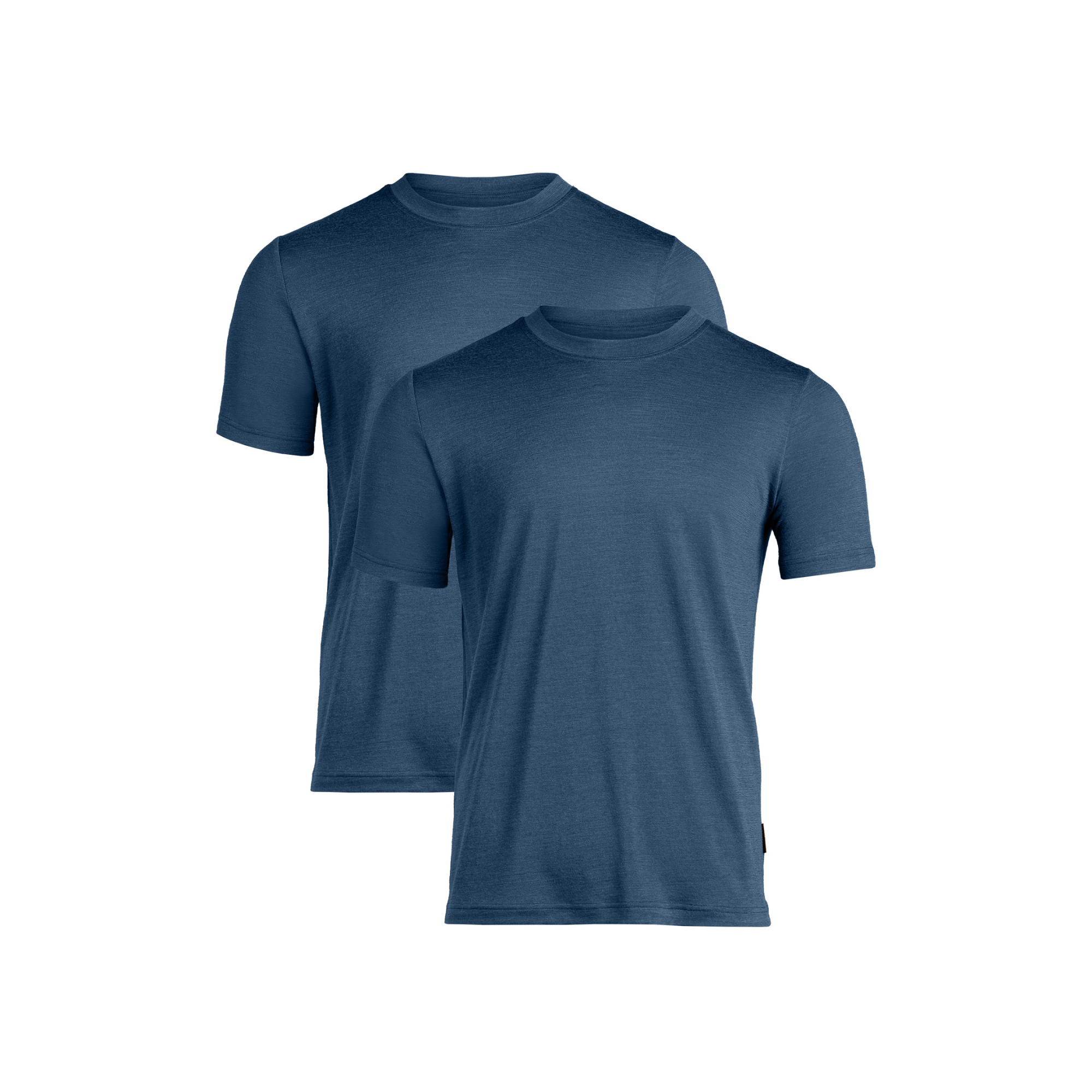 Regular Fit Merino T-Shirt for Men 2-Pack